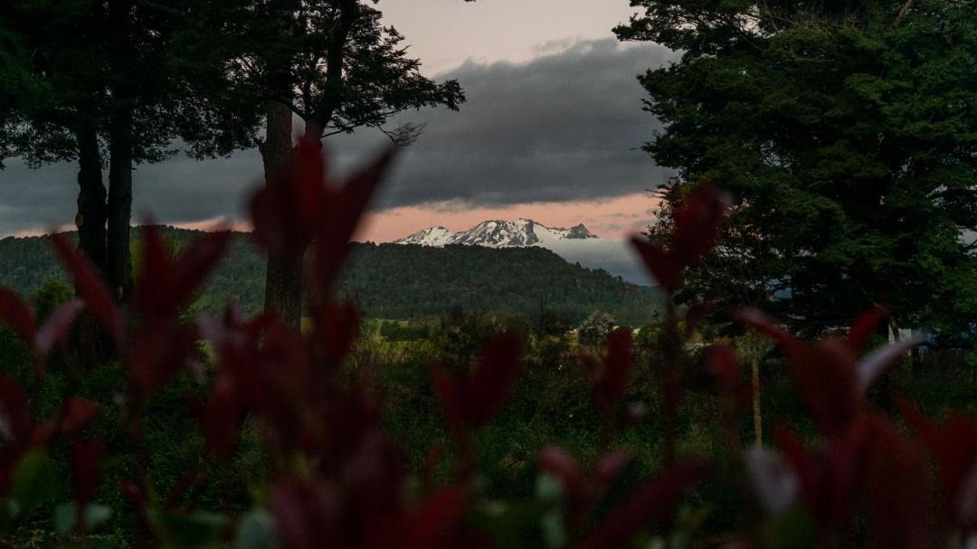 Photo of Others in Ohakune