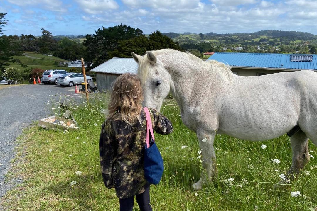 Photo of Others in Waimauku