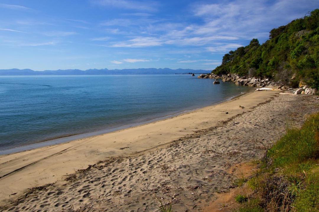 Photo of Others in Kaiteriteri