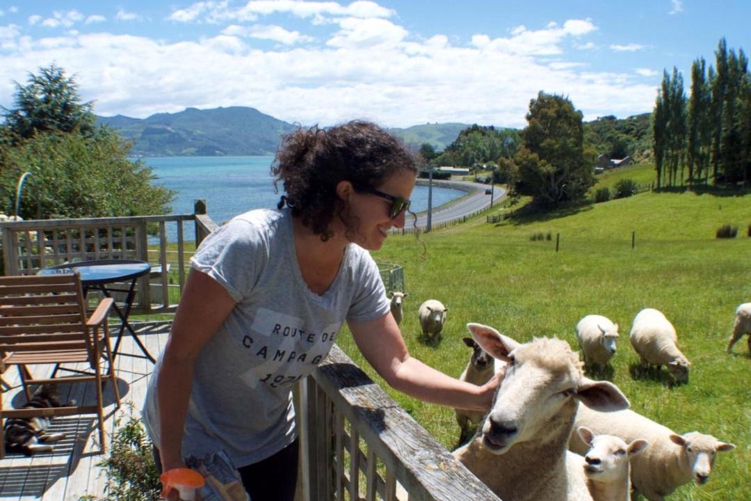 Photo of Others in Dunedin