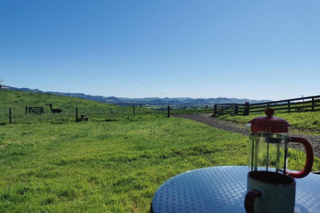 Photo of Others in Waihi