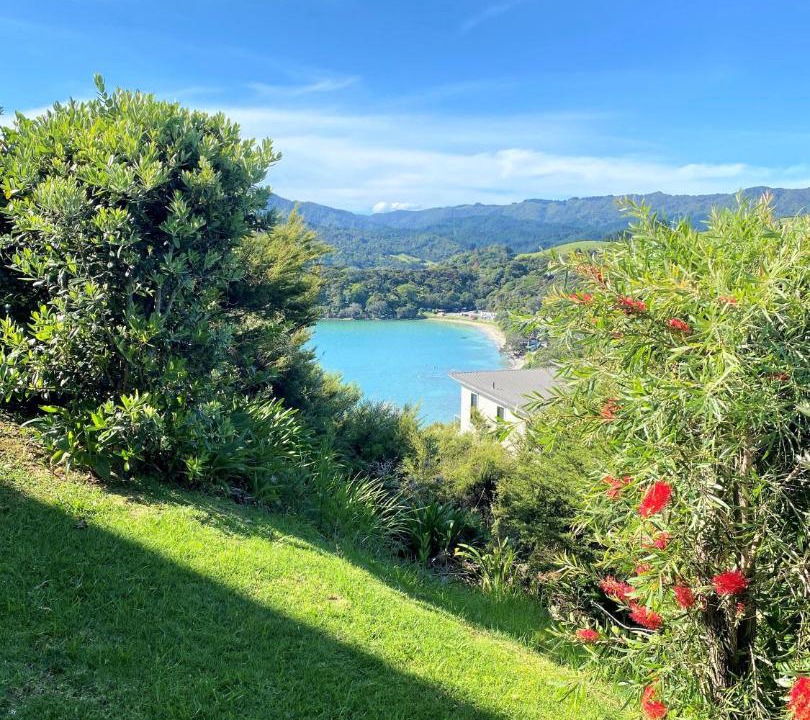 Photo of Others in Coromandel