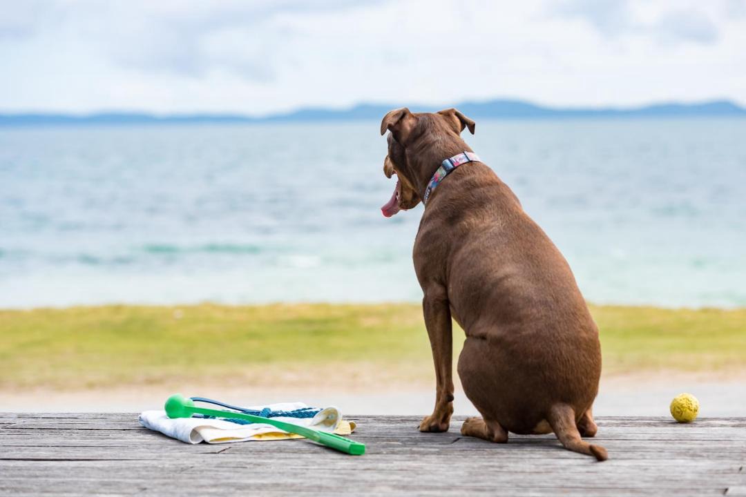 Photo of Others in Cable Bay