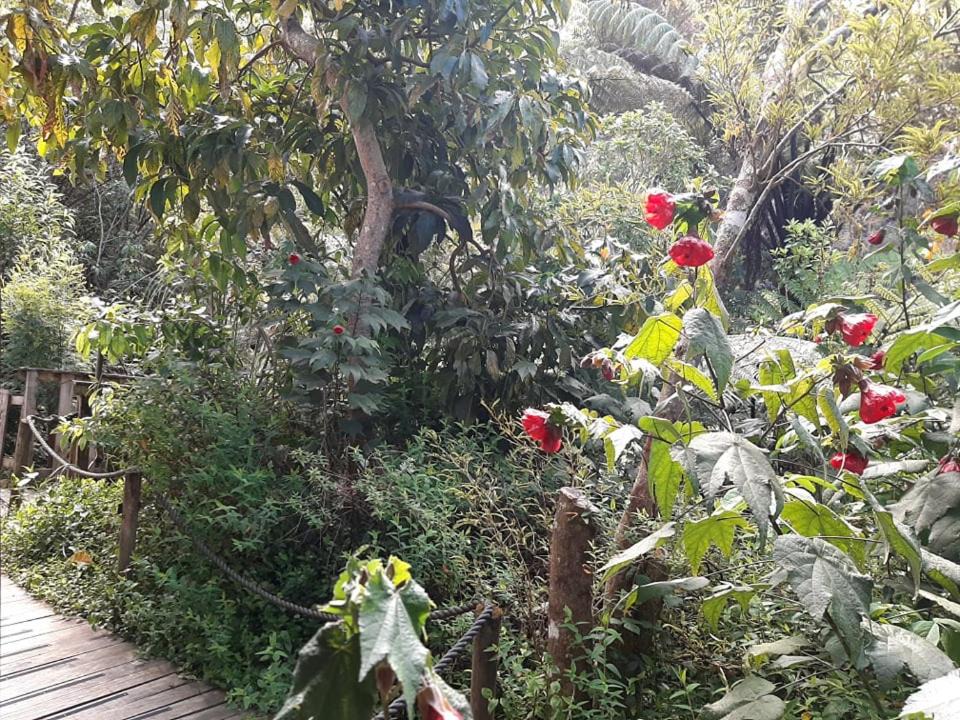 Photo of Others in Marahau