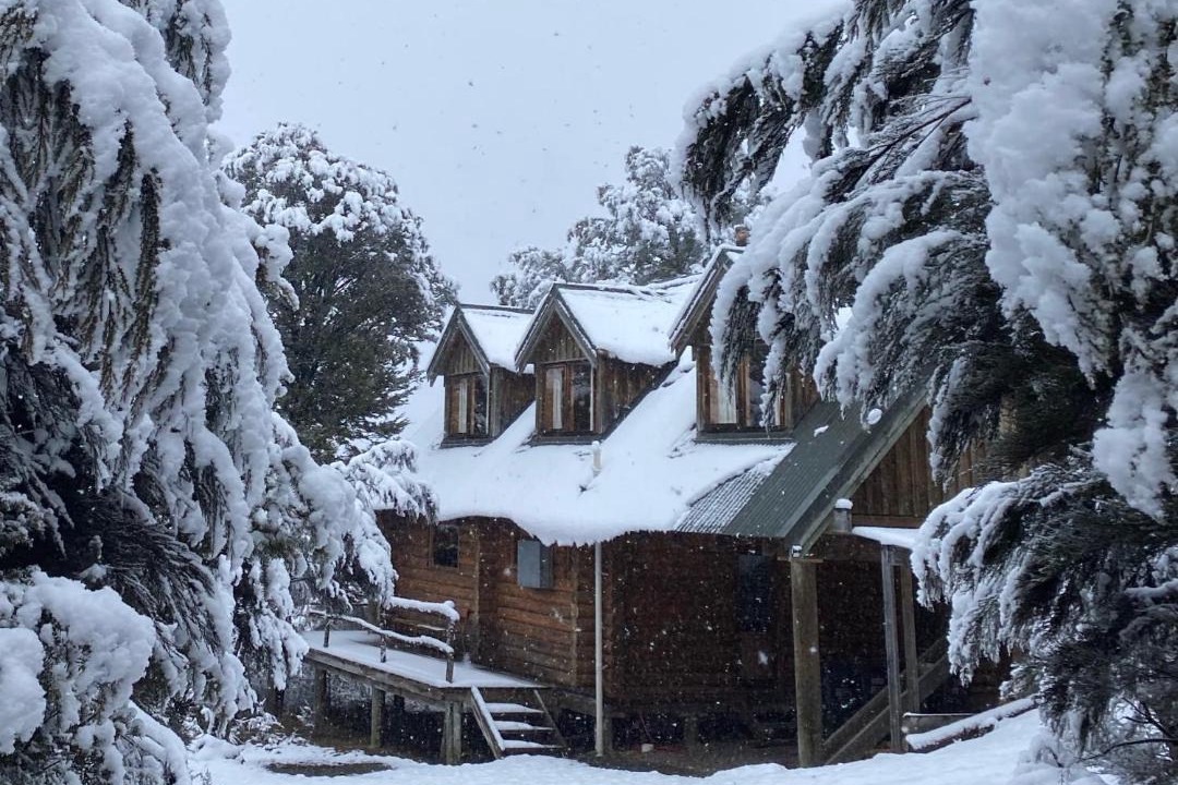 Photo of Others in Mt Lyford