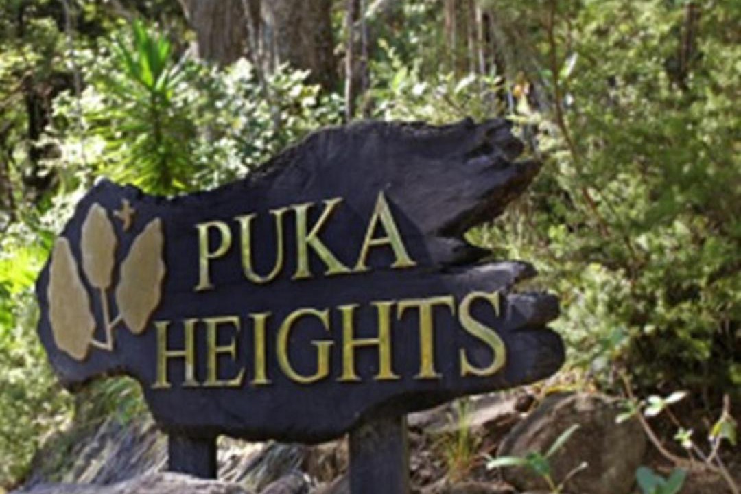 Photo of Others in Pauanui
