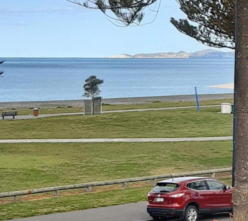 Photo of Others in Napier