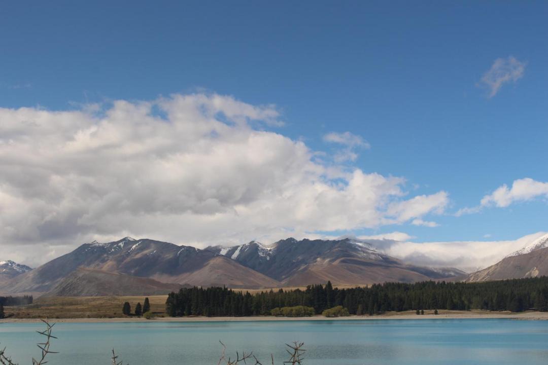 Photo of Others in Tekapo