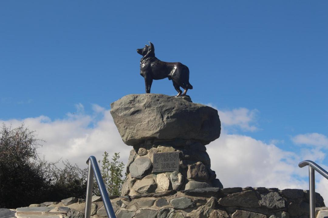 Photo of Others in Tekapo