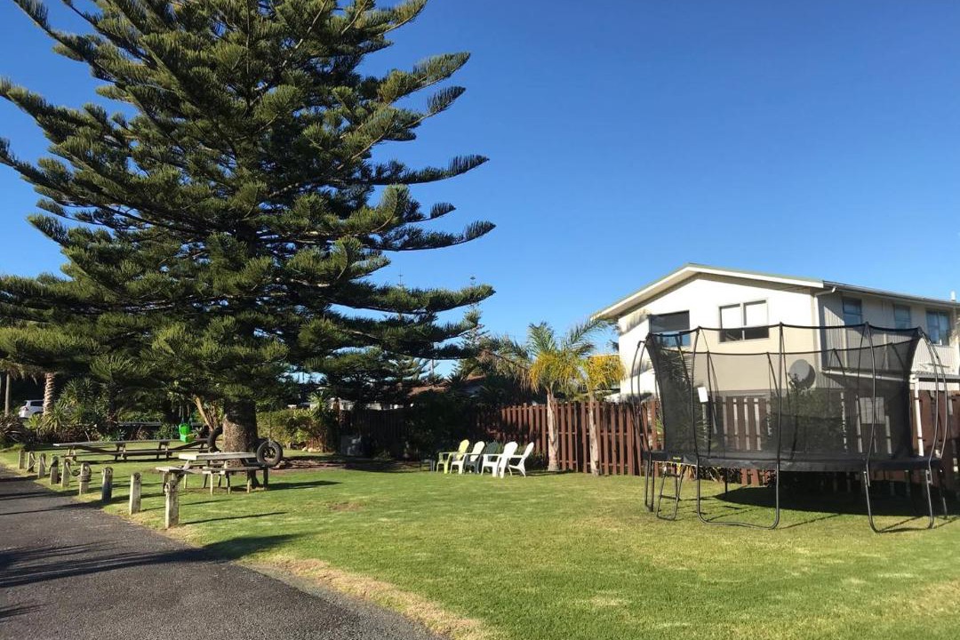 Photo of Others in Waihi Beach