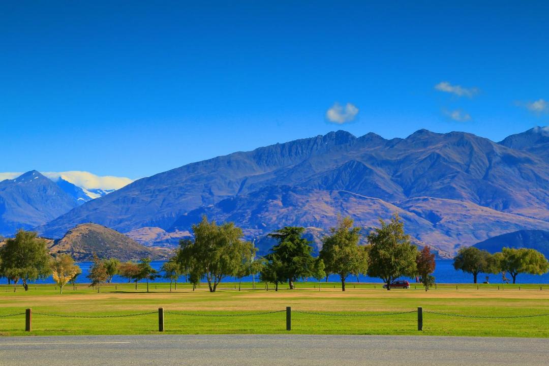 Photo of Others in Wanaka