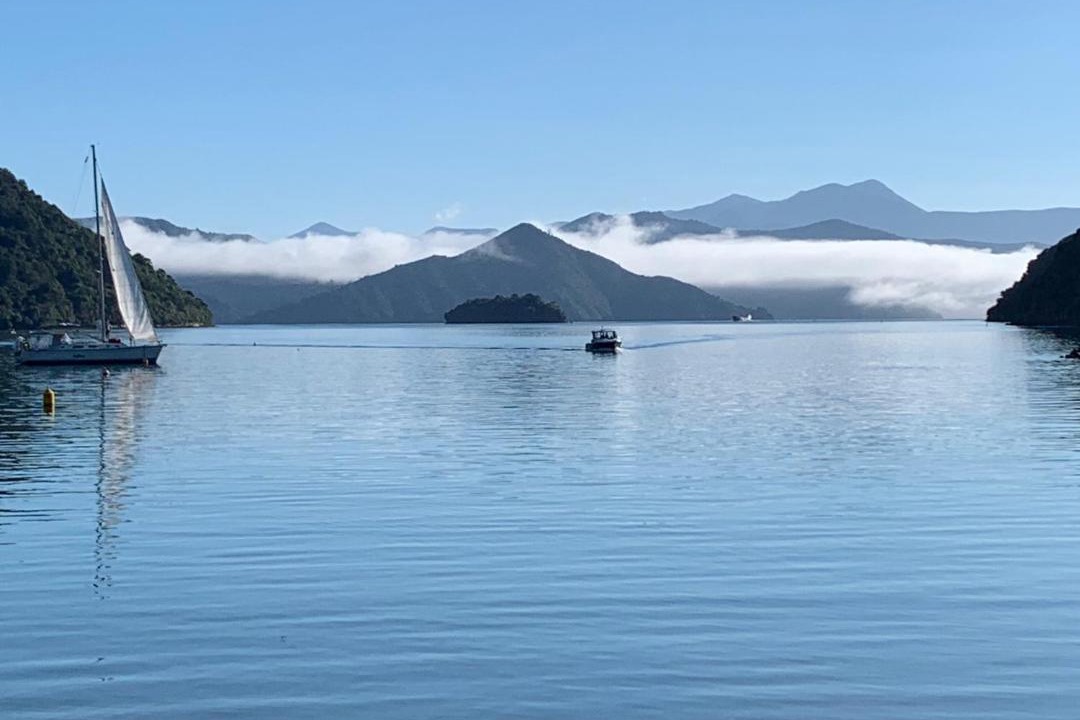 Photo of Others in Picton