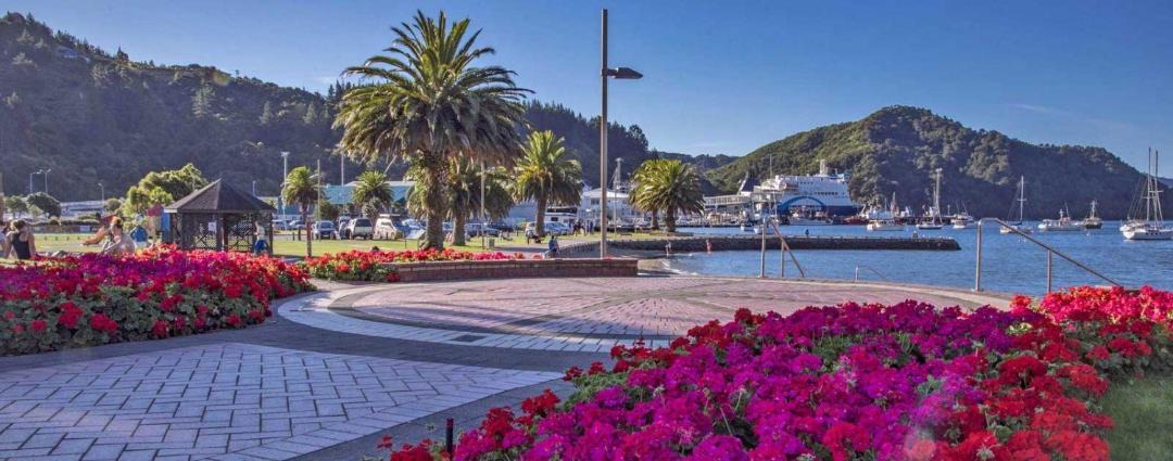 Photo of Others in Picton