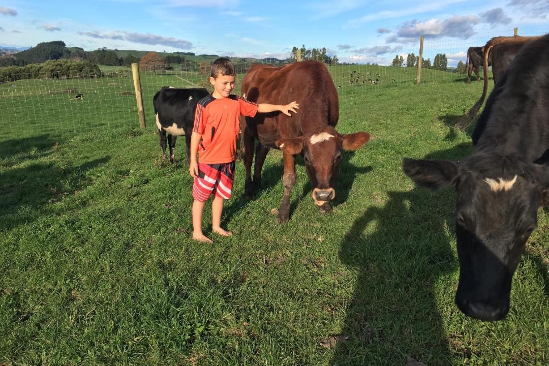 Photo of Others in Maungatautari