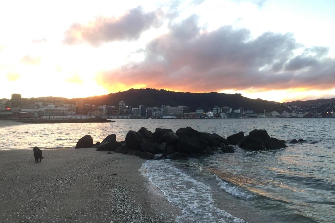 Photo of Others in Wellington