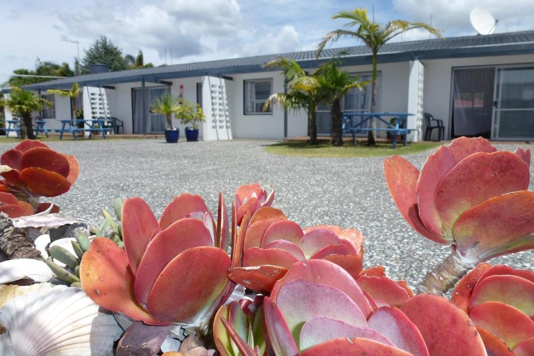Photo of Others in Whitianga