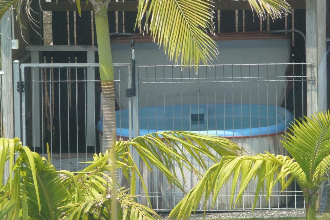 Photo of Others in Whitianga