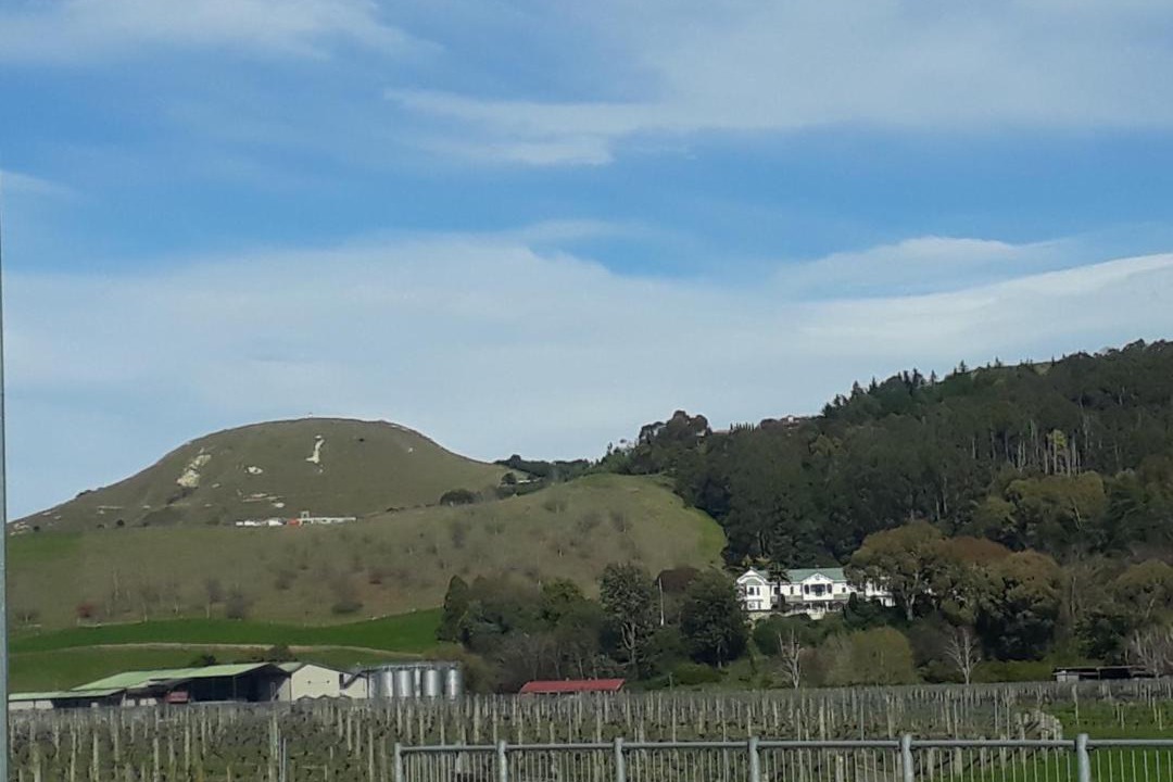 Photo of Others in Napier