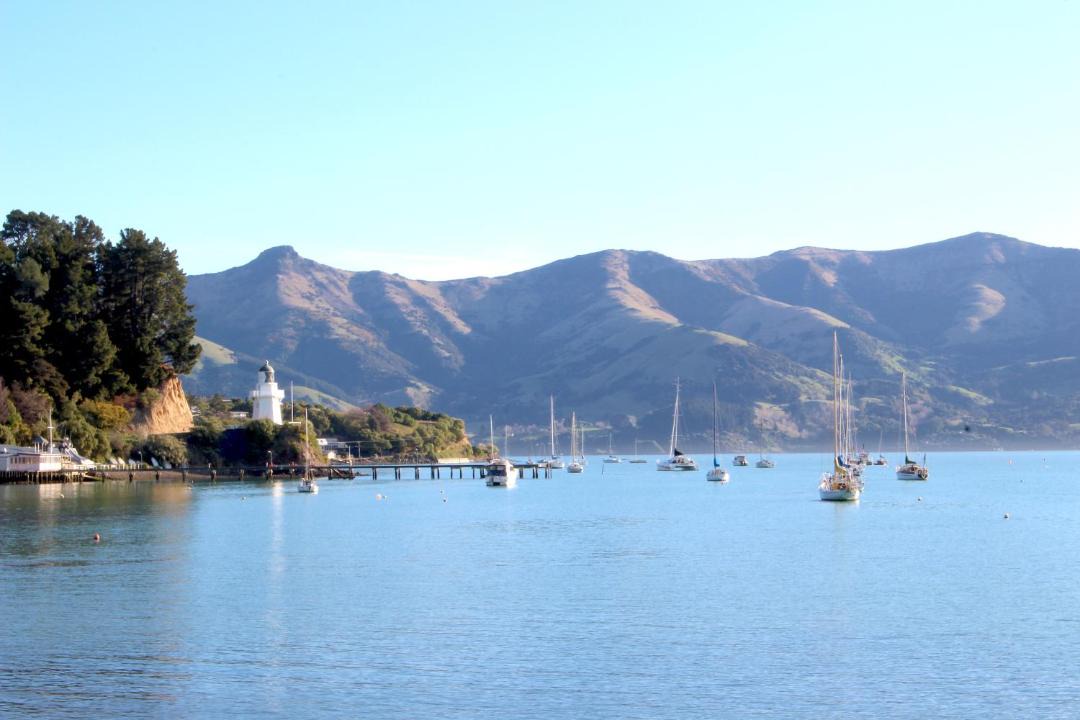 Photo of Others in Akaroa