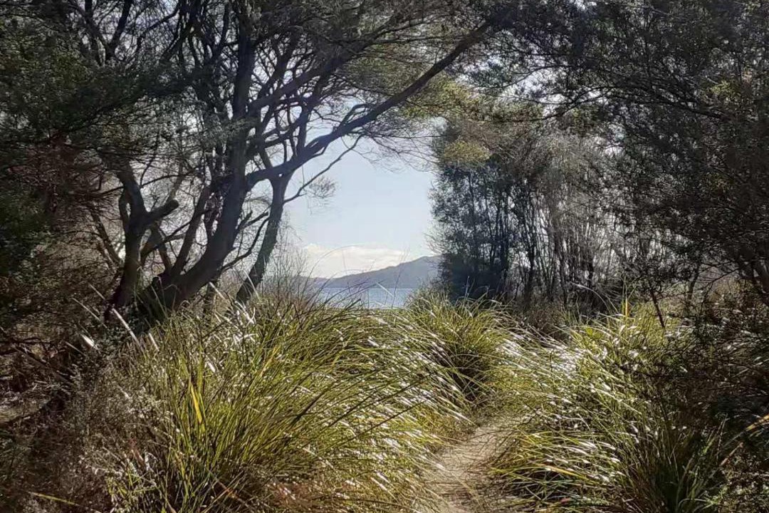 Photo of Others in Rotorua