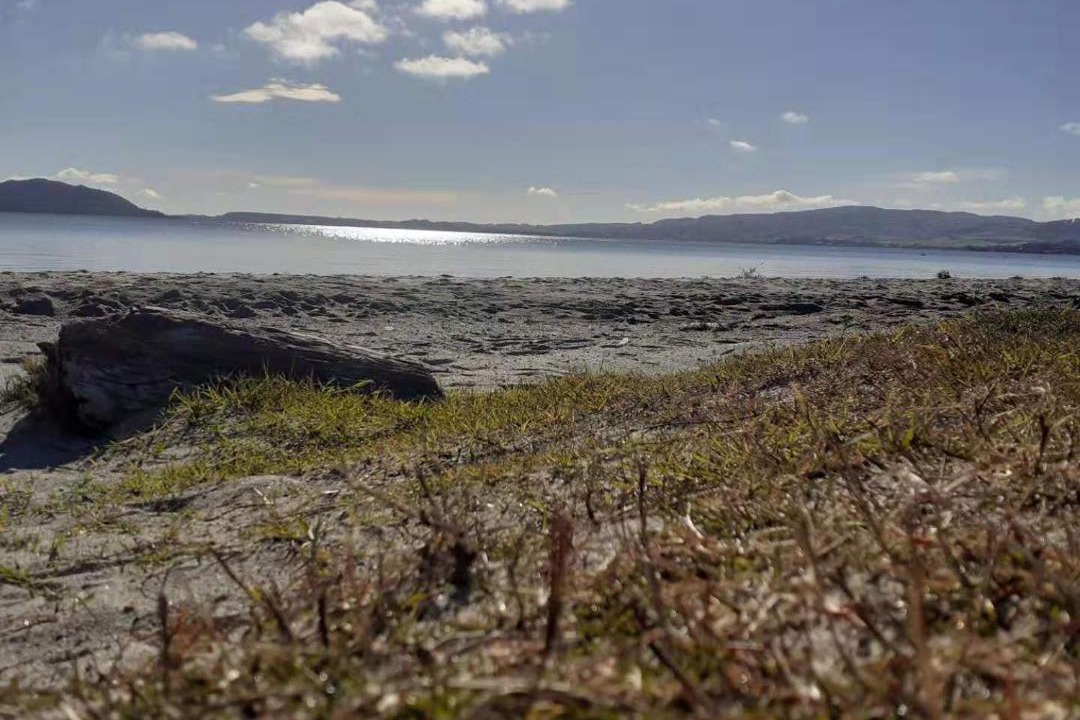 Photo of Others in Rotorua