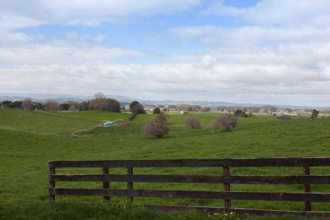 Photo of Others in Otorohanga