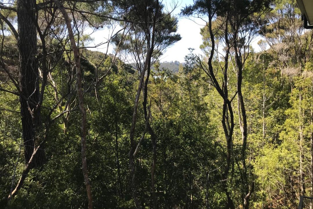 Photo of Outdoor in Opua