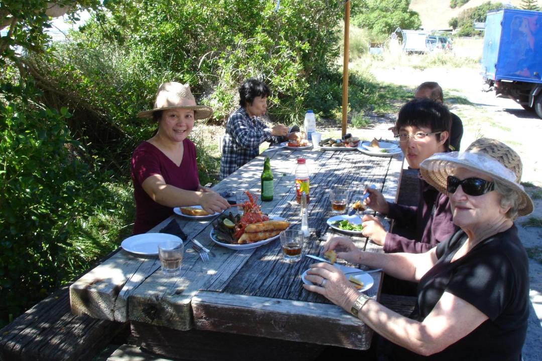 Photo of Others in Kaikoura