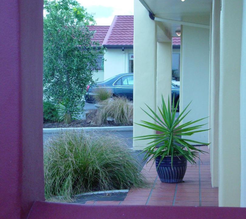 Photo of Others in Napier