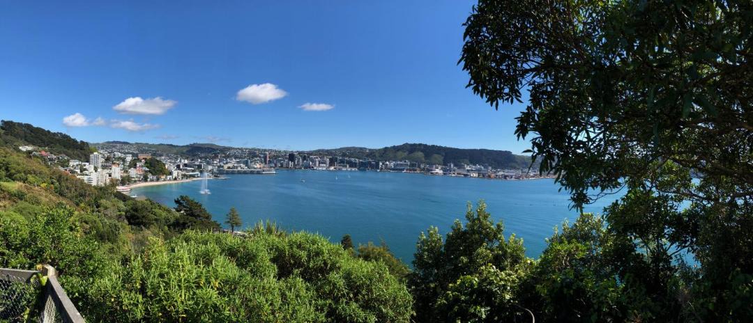 Photo of Others in Wellington