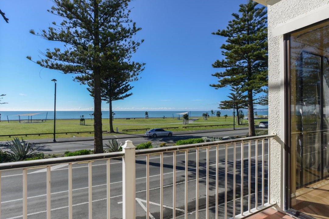 Photo of Others in Napier