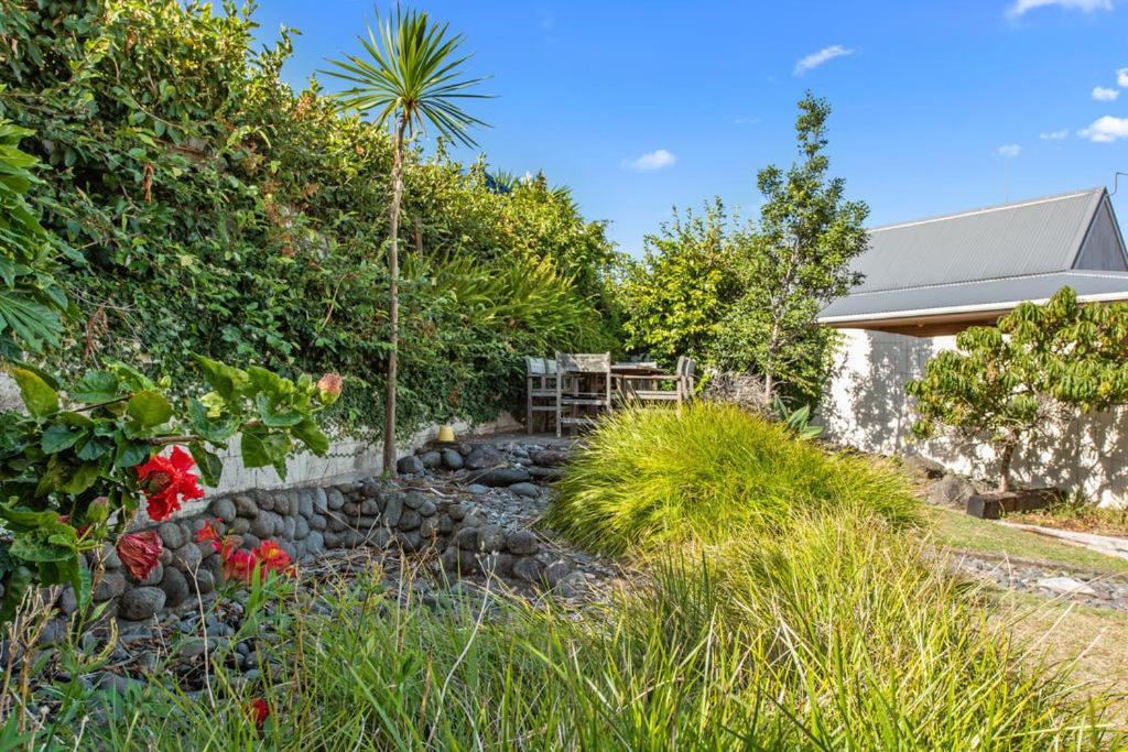 Photo of Others in Mount Maunganui