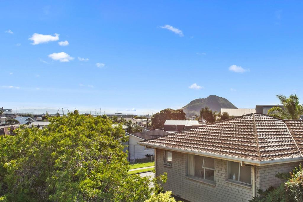 Photo of Others in Mount Maunganui