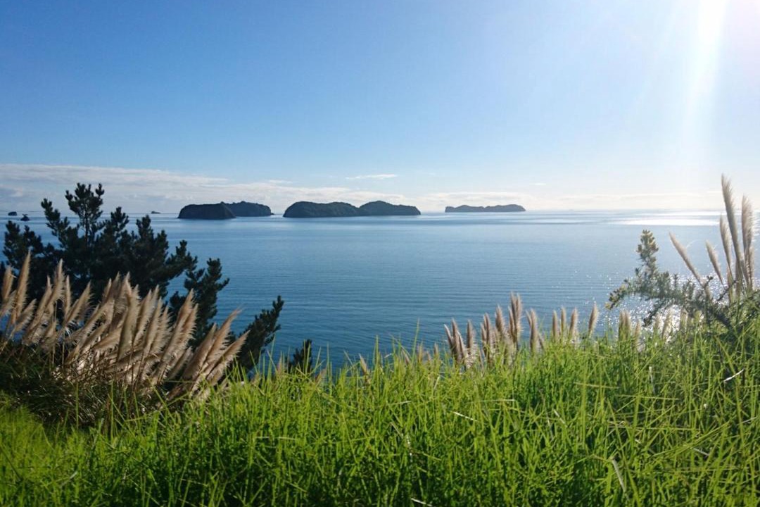 Photo of Others in Amodeo Bay