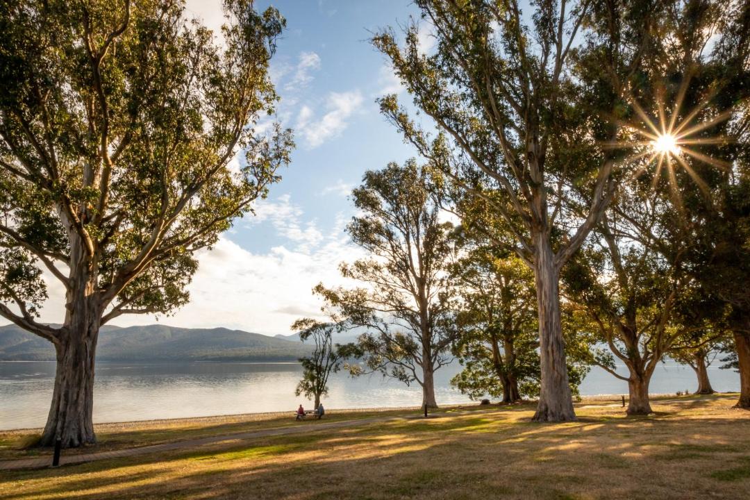 Photo of Others in Te Anau
