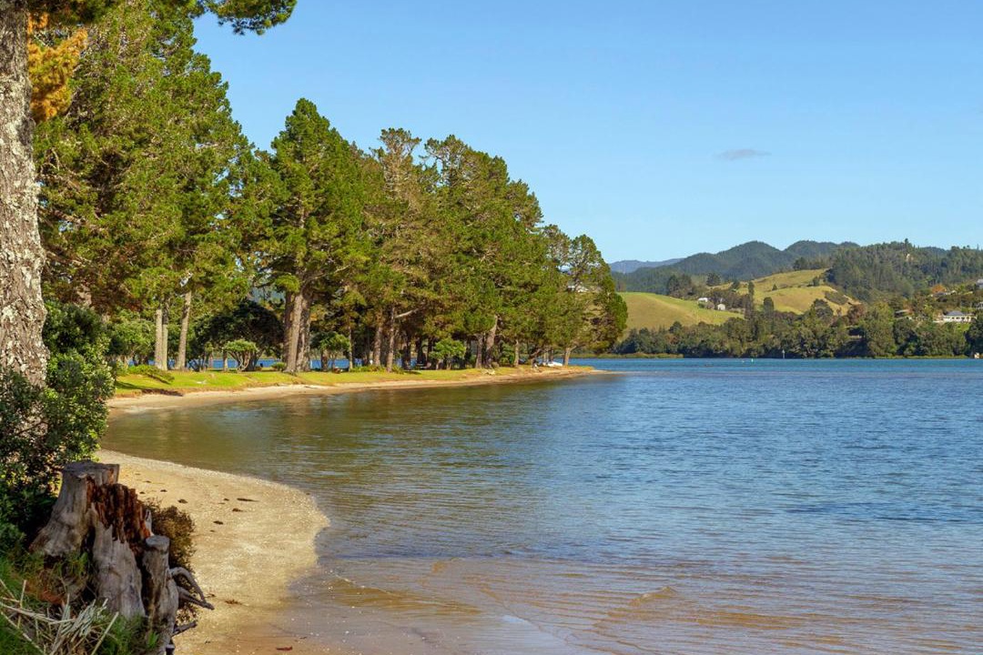 Photo of Others in Pauanui