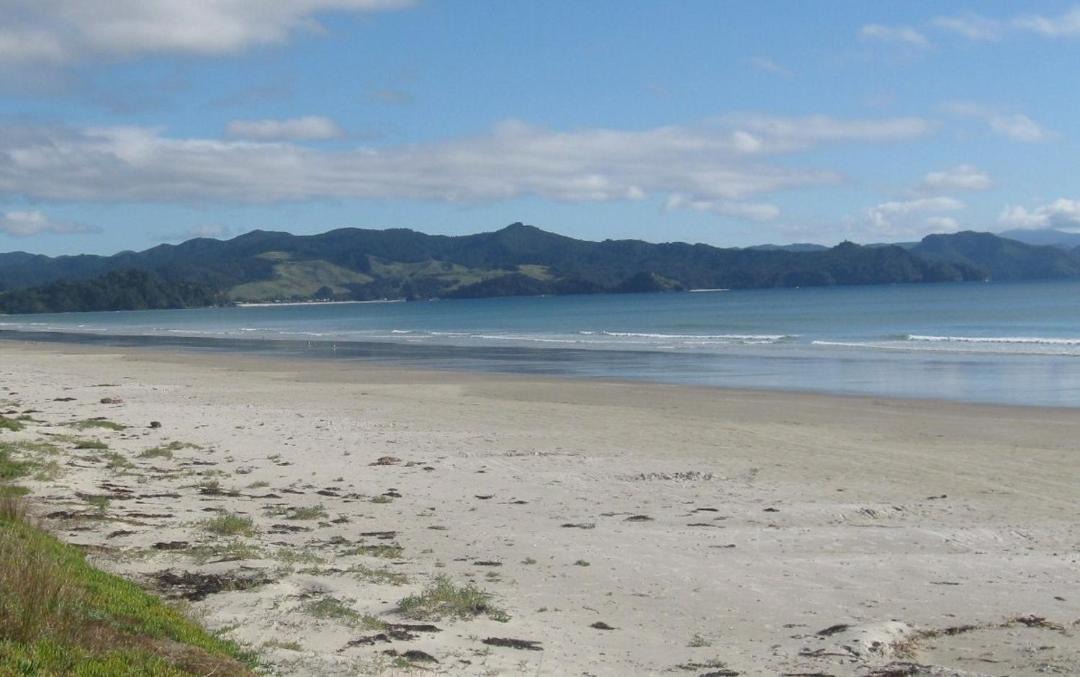 Photo of Others in Matarangi