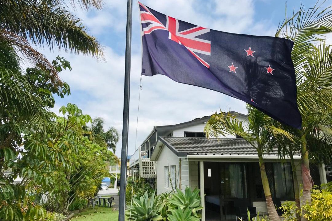 Photo of Others in Paihia