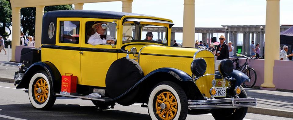Photo of Others in Napier