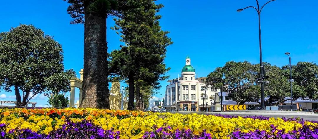 Photo of Others in Napier
