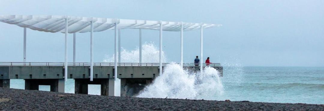 Photo of Others in Napier