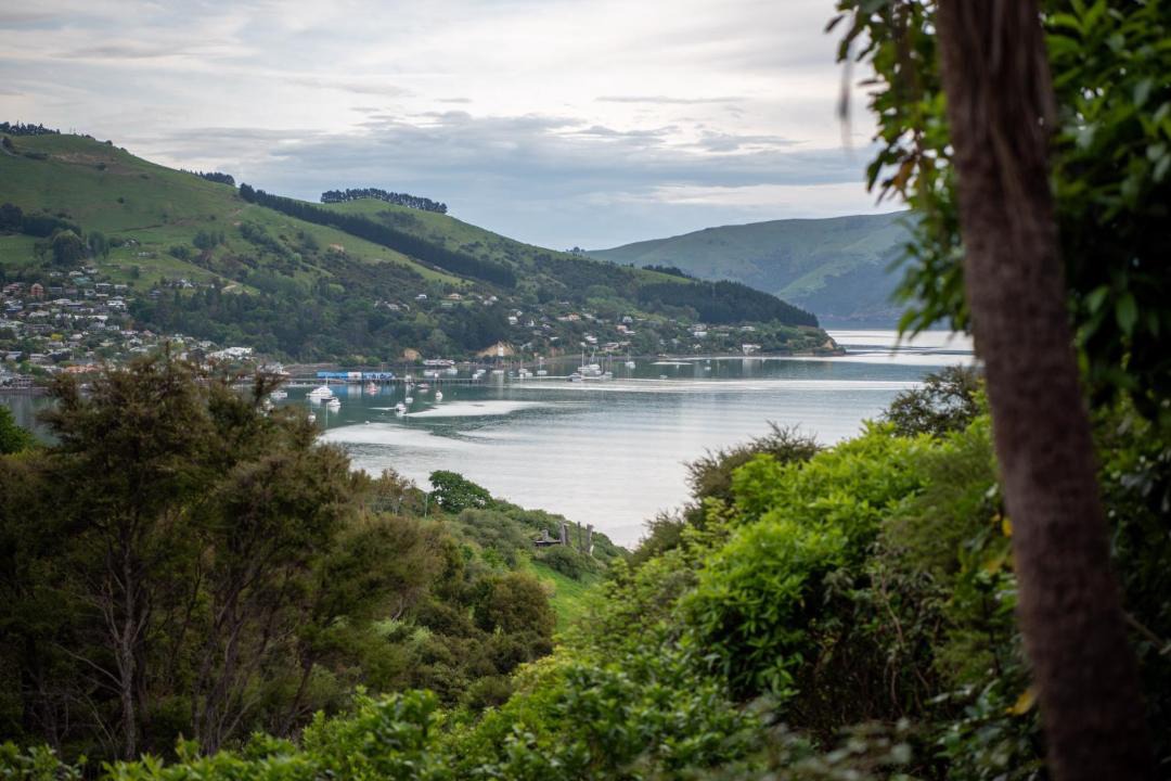 Photo of Others in Akaroa