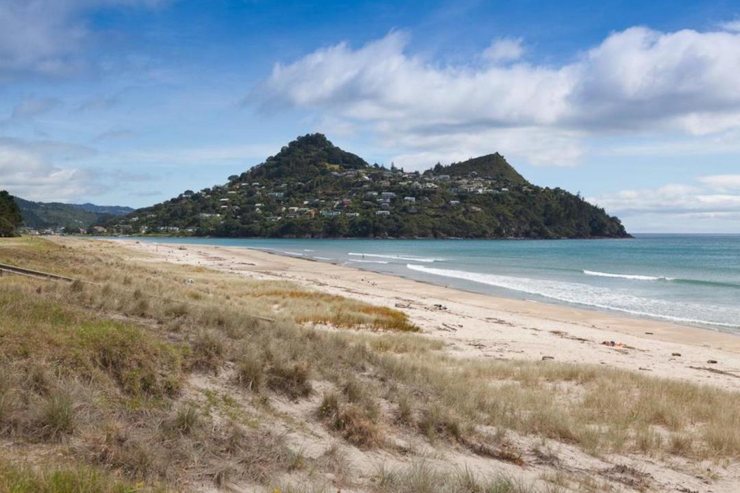 Photo of Others in Pauanui