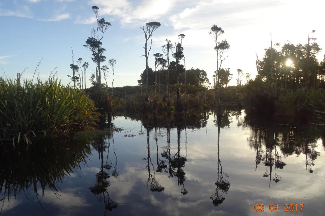Photo of Others in Hokitika