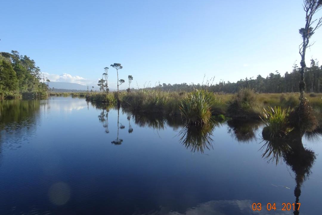 Photo of Others in Hokitika