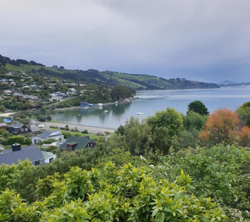 Photo of Others in Dunedin