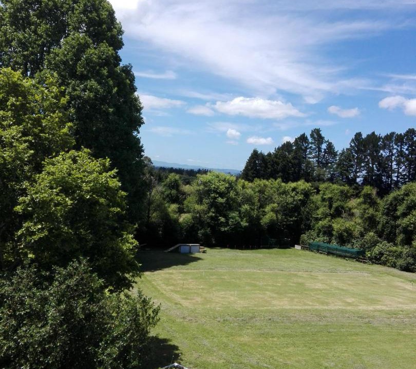 Photo of Others in Katikati