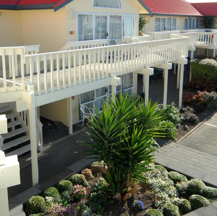 Photo of Others in Napier