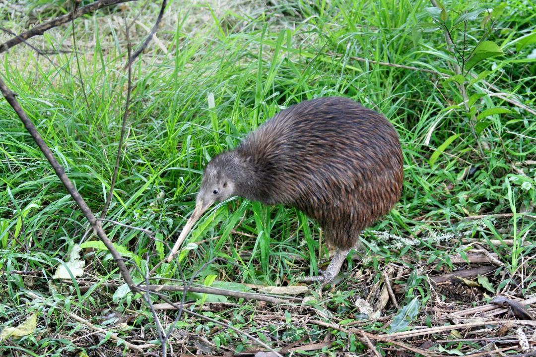 Photo of Others in Russell