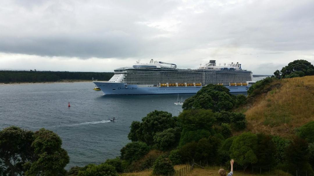 Photo of Others in Tauranga South
